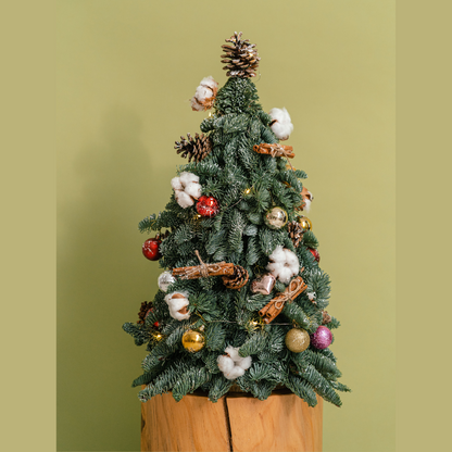 Fresh Petite Christmas Tree