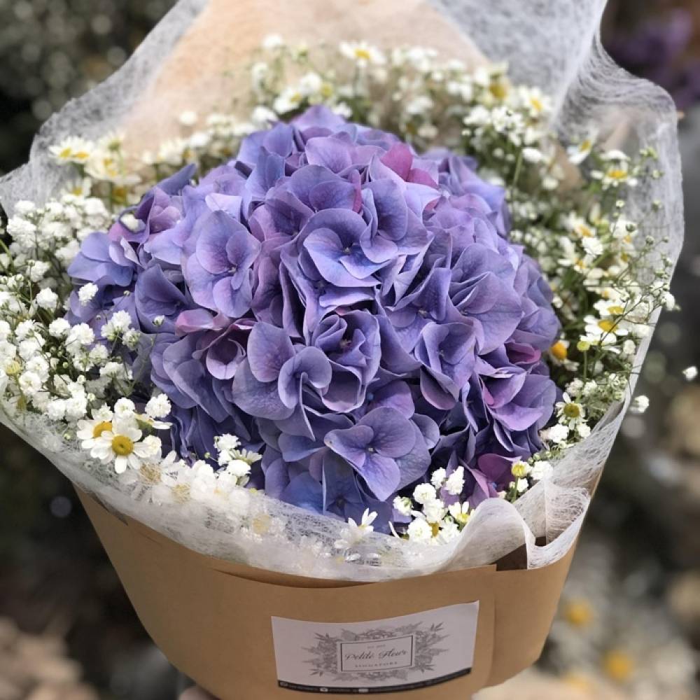 Hydrangea Bouquet