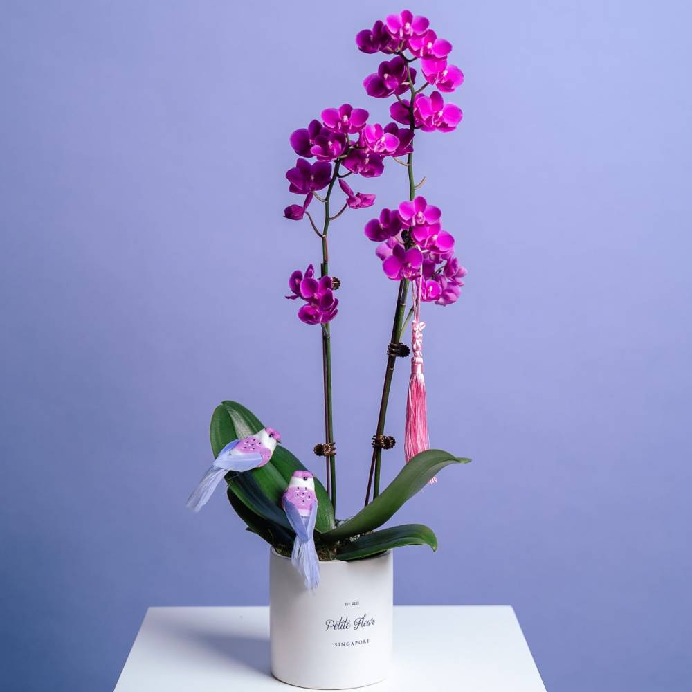 Petite Orchid Vase