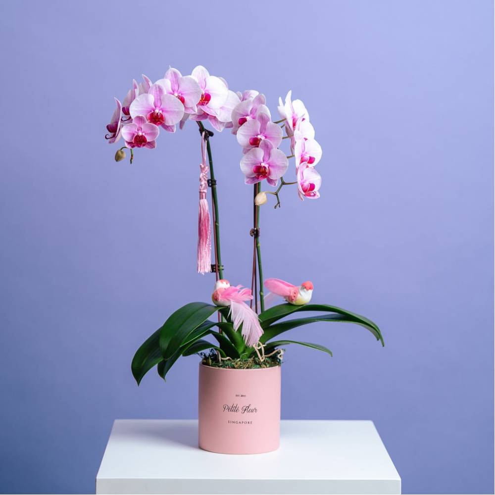 Petite Orchid Vase