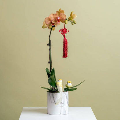 Petite Orchid Box