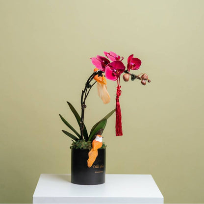 Petite Orchid Box
