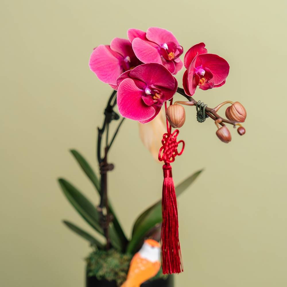 Petite Orchid Vase