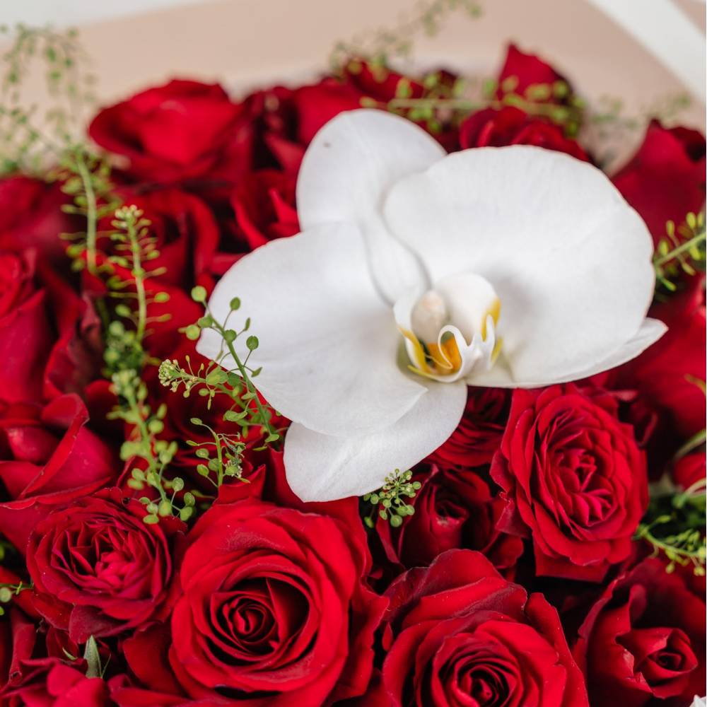 Amore - Premium Red Roses Bouquet