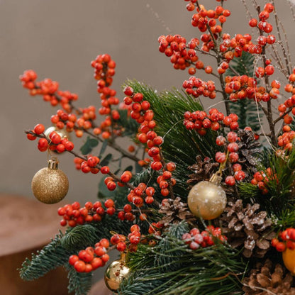 Nutcracker's Ember Glow