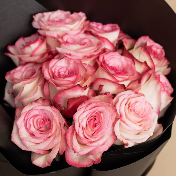 24 Premium Roses with Gypsophila