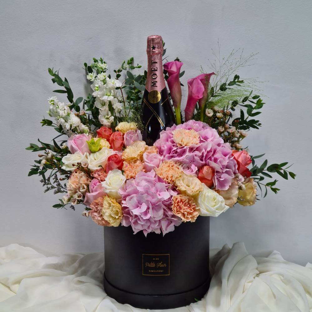 Moet & Chandon Champagne Impérial Box