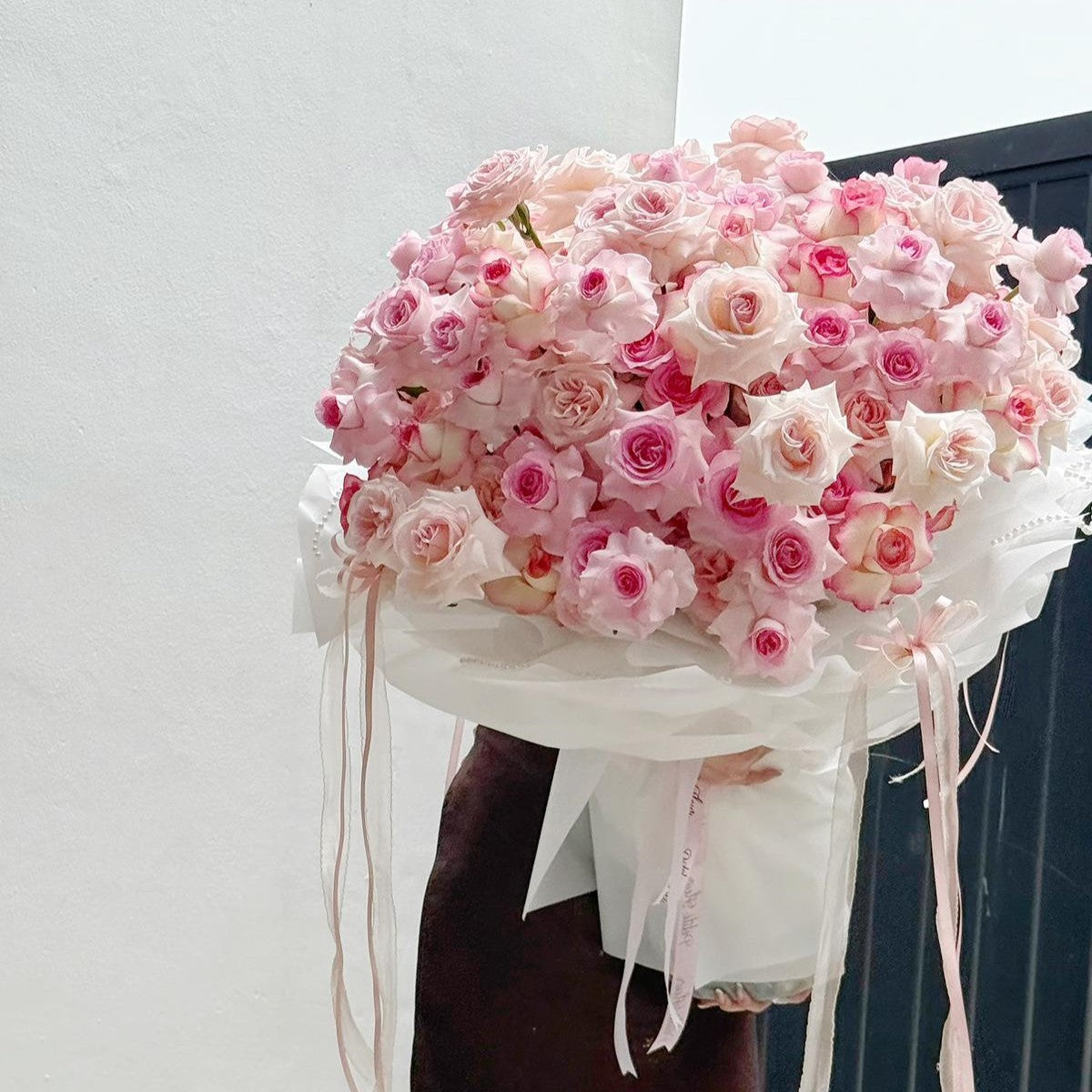 Rose de Lune