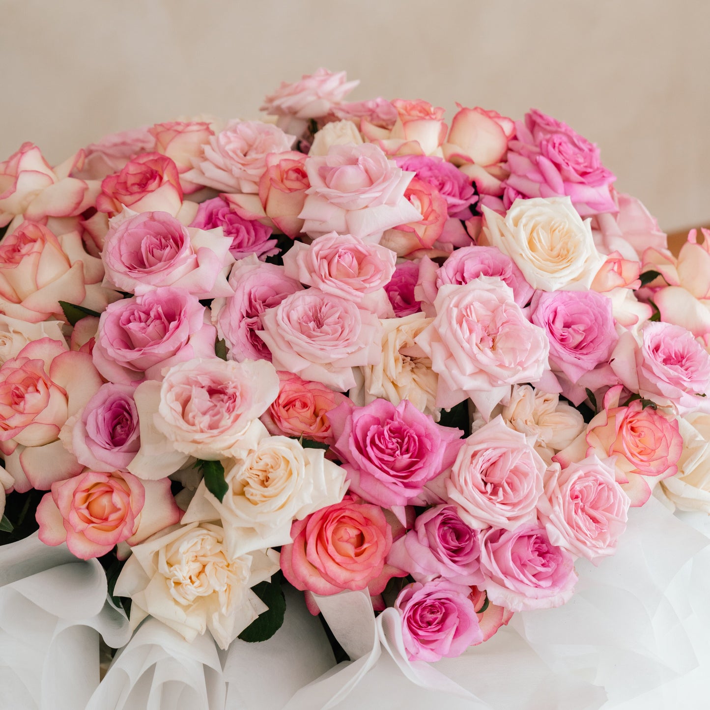 Belle Amour